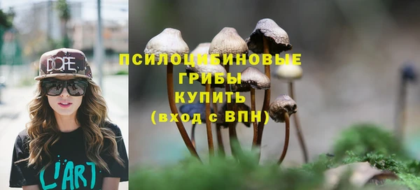 прущая мука Верхний Тагил