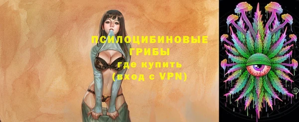 ALPHA PVP Верея